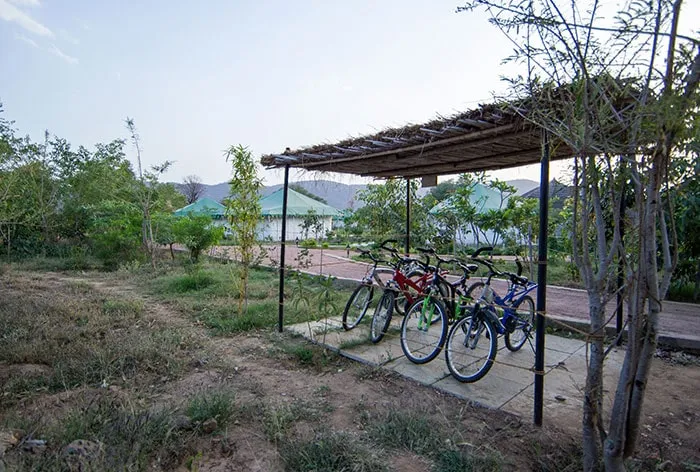 Cycling